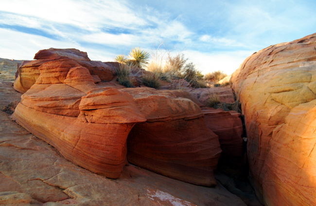 Rocks in the sunset