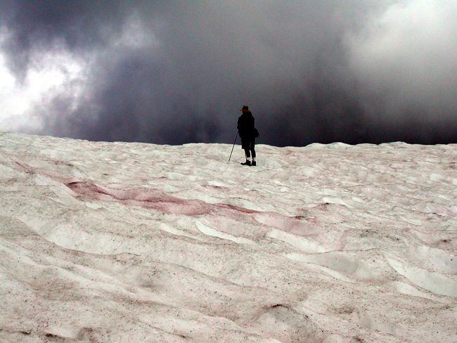 Crossing the snow field