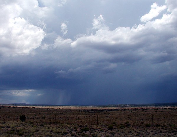 Desert storm