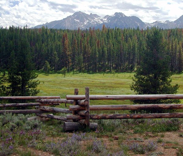 The Sawtooth Mountains