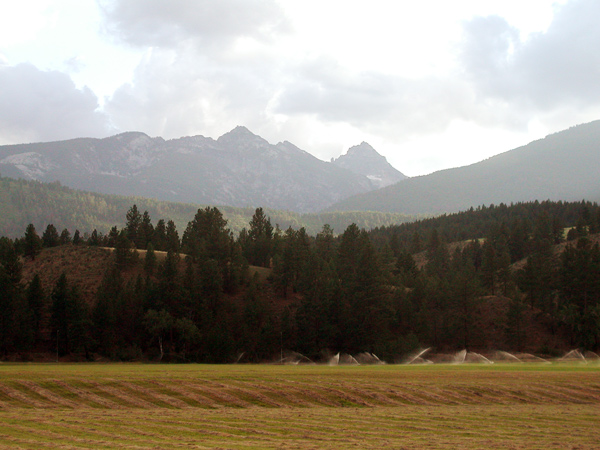 Montana farmland