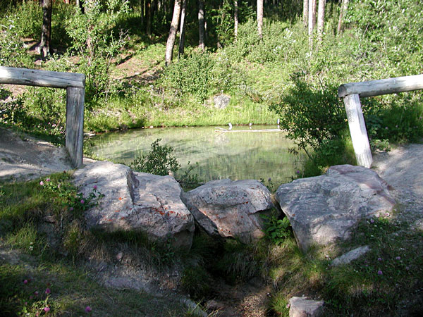 springs overview