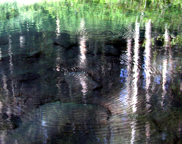 springs