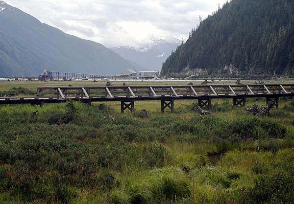 Steart Estuary