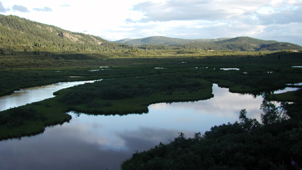 Gnat Lake