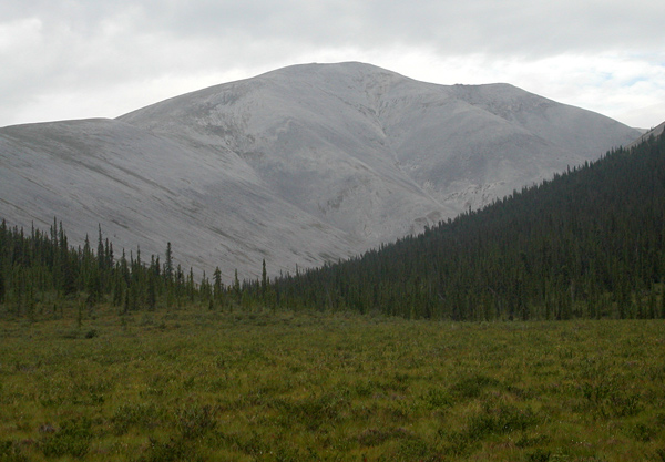 The Olgilvie Mountains